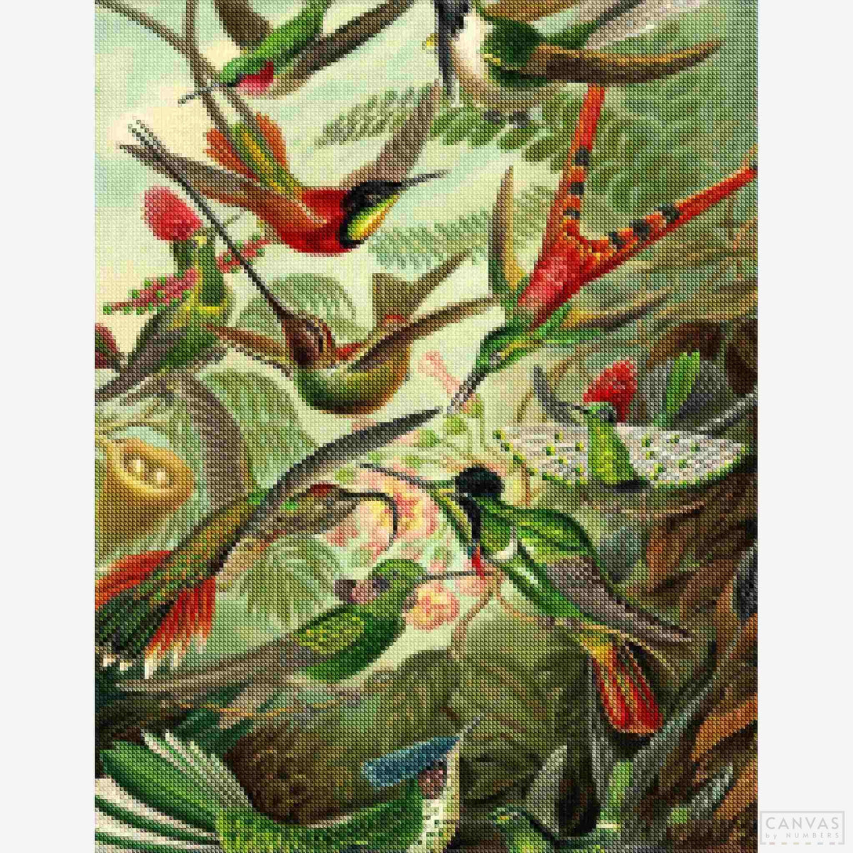 Trochilidae (Hummingbirds) - Diamond Painting-Craft a shimmering tribute to biology and art with Haeckel's "Hummingbirds" diamond painting kit. Dive into nature's delicate details.-Canvas by Numbers