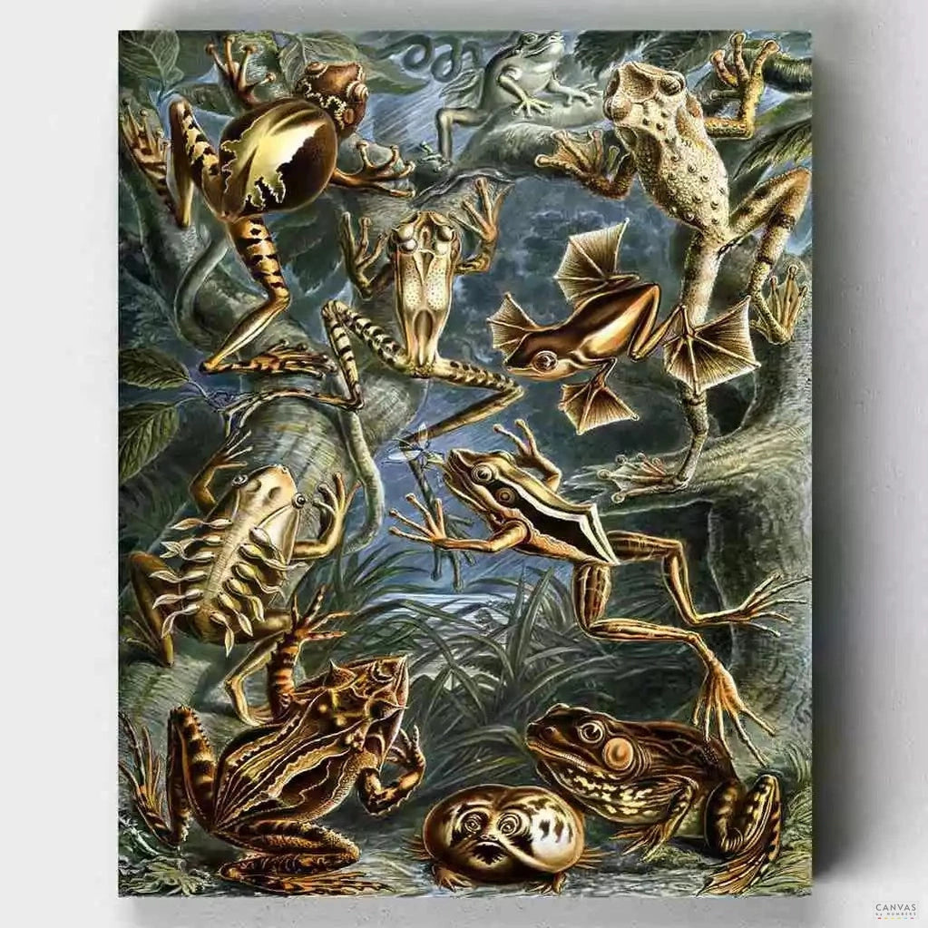 Batrachia - Paint by Numbers-Ernst Haeckel's "Batrachia" paint by numbers is part of the "Art Forms in Nature" collection and features a variety of frogs in intricate detail.-Canvas by Numbers