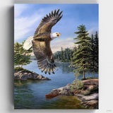 Heritage Eagle by James Meger - Paint by Numbers Kit for Adults-Heritage Eagle by James Meger captures the majestic essence of this iconic bird. This paint by numbers kit brings the wild's grandeur to your canvas.-Canvas by Numbers