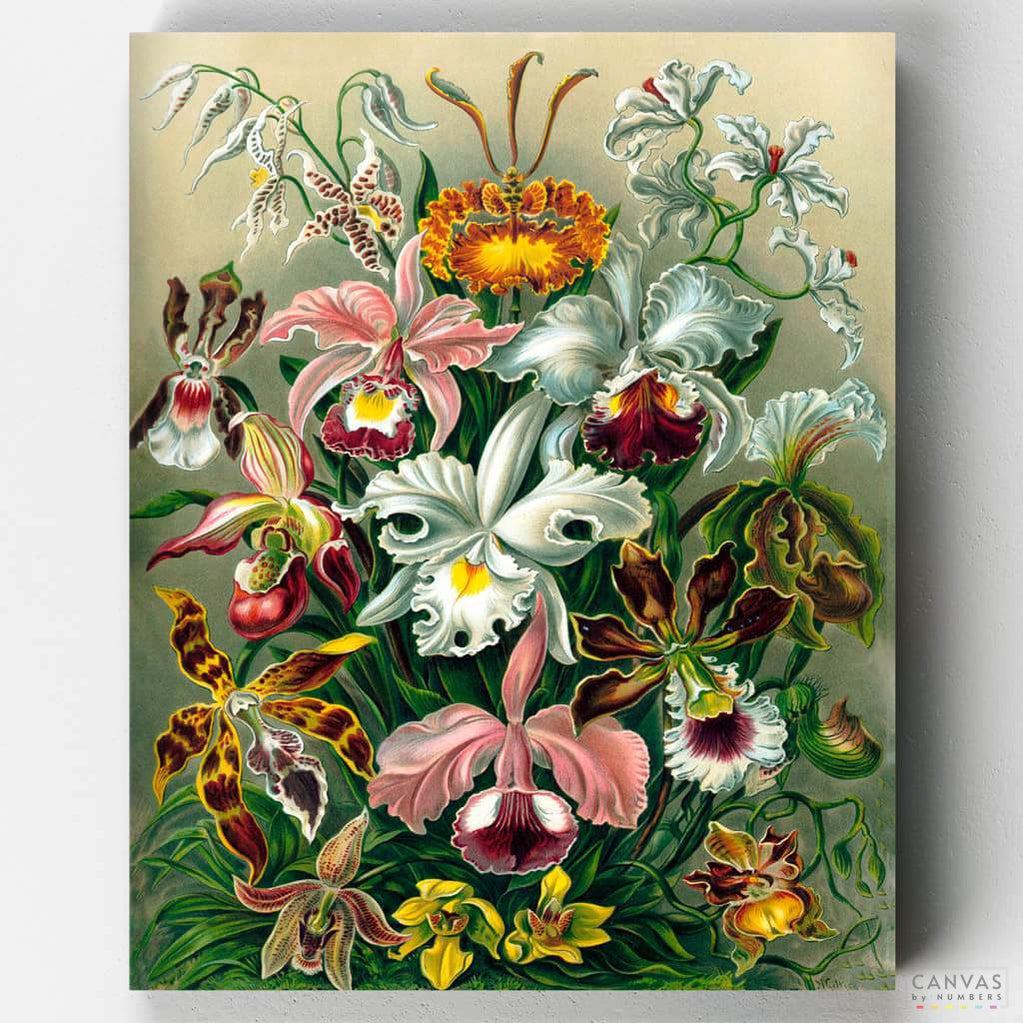 Paint By Number Kit for Adults - White Flowers - DIY Painting By Numbers