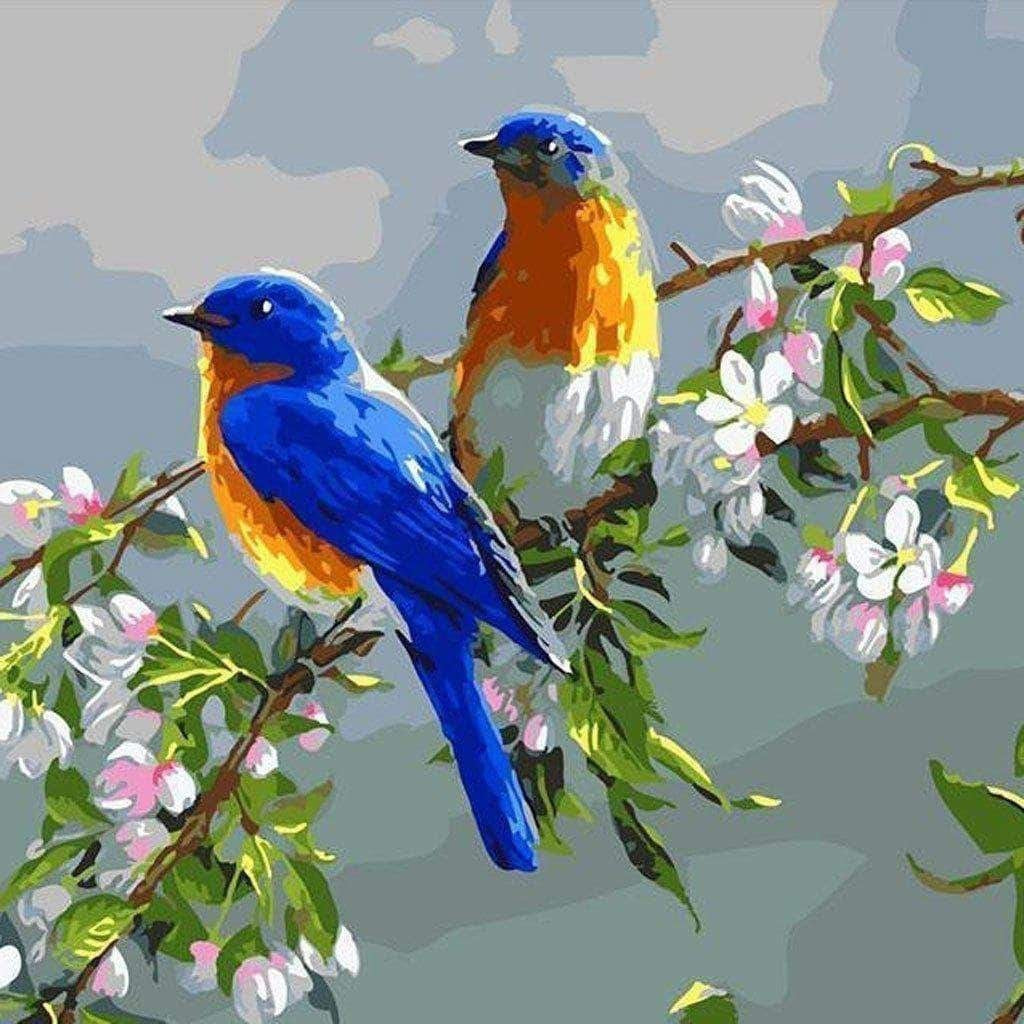 Numbers Birds Roses Bird Paint by Numbers Kits | Create Stunning Bird Art | Canvas by Numbers