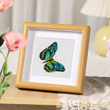 Butterfly Collection 1 - Mini Diamond Painting Kit-Embark on a colorful crafting adventure with our Butterfly Mini Diamond Painting Kit. Create 9 unique butterfly artworks perfect for relaxing or gifting.-Canvas by Numbers