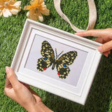 Butterfly Collection 2 - Mini Diamond Painting Kit-Discover the Butterfly Collection 2 Mini Diamond Painting Kit. Craft 12 unique butterfly designs that sparkle with creativity and charm!-Canvas by Numbers