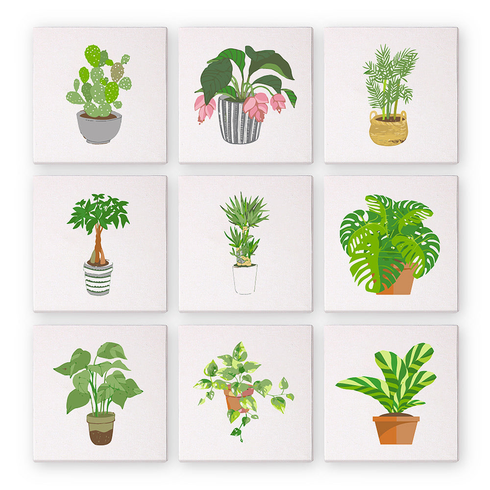 Set of six mini paint by numbers kits of potted plants on white backgrounds