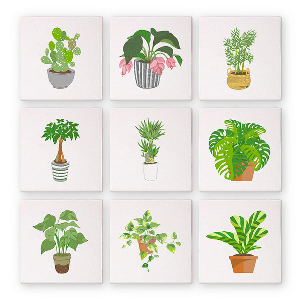 Set of six mini paint by numbers kits of potted plants on white backgrounds