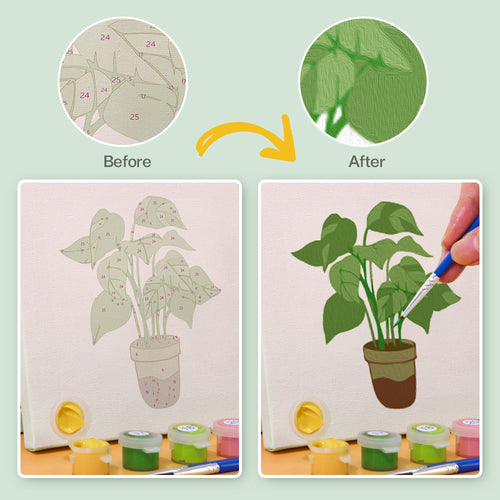 Houseplant Collection mini paint by numbers kit with acrylic paints and brushes included
