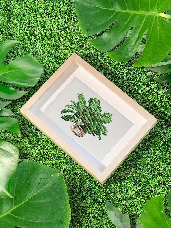 Plants Collection 2