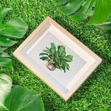 Plants Collection 2 - Diamond Painting Mini Kit-Explore the vibrant world of plants with our Plants Collection 2 Mini Diamond Painting Kit. Create 12 unique plant designs, perfect for decor and relaxation.-Canvas by Numbers