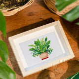 Plants Collection 2 - Diamond Painting Mini Kit-Explore the vibrant world of plants with our Plants Collection 2 Mini Diamond Painting Kit. Create 12 unique plant designs, perfect for decor and relaxation.-Canvas by Numbers