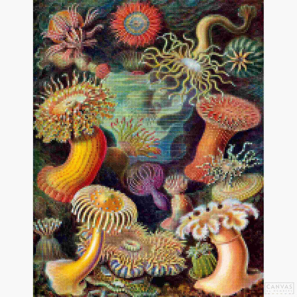 Actiniae - Diamond Painting Kit-Bring to life Ernst Haeckel's intricate sea anemones with our diamond painting kit. A top-seller that promises a vibrant, detailed artistic experience.-Canvas by Numbers