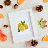 Fruits Collection - Mini Diamond Painting Kit-Enjoy the vibrant beauty of our Fruits Collection Mini Diamond Painting Kit. Craft 12 delicious fruit designs, perfect for kitchen decor or fun crafting!-Canvas by Numbers