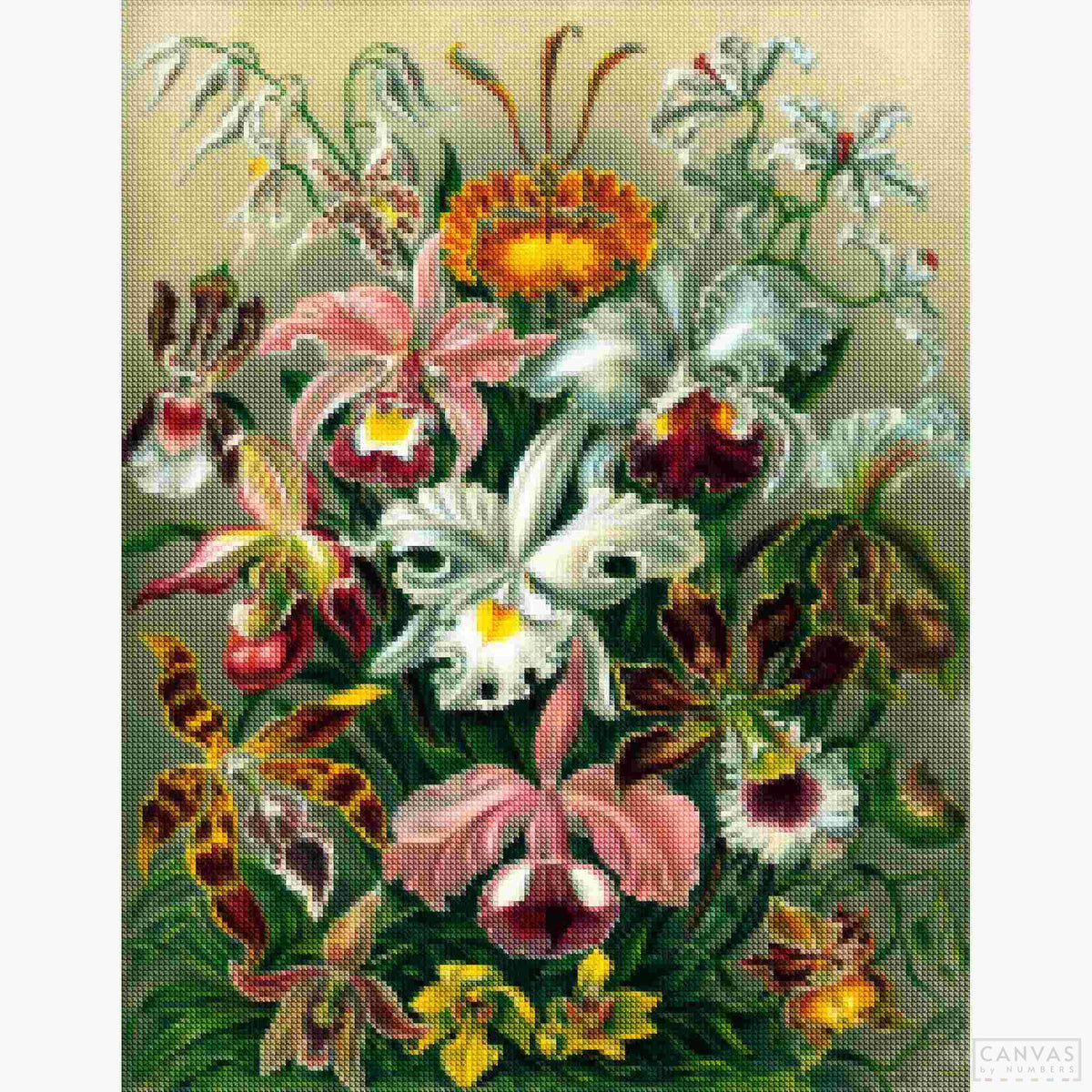 Orchidae - Diamond Painting-Unveil the magic of Ernst Haeckel's "Orchidae" with our diamond painting kit. Immerse in this dazzling botanical creation, perfect for art lovers and nature enthusiasts.-Canvas by Numbers