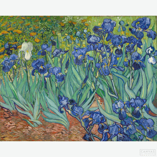 Irises - Diamond Painting-Delve into the world of Van Gogh diamond painting with our "Irises" kit. Meticulously curated for all art lovers. Transform your space with a masterpiece!-Canvas by Numbers