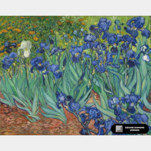 Iris - Diamond Painting - Grand