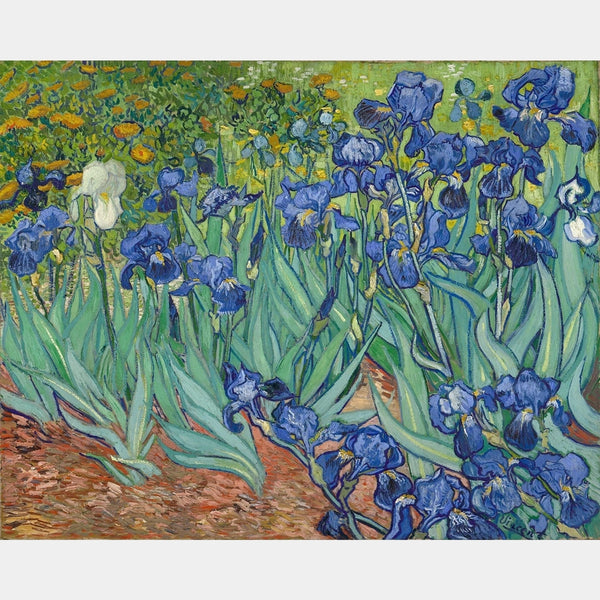 Irises - Diamond Painting - Large