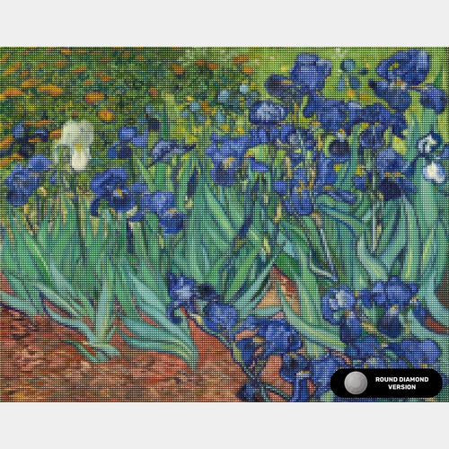 Iris - Diamond Painting - Grand