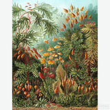 Muscinae - Diamond Painting-Create your own masterpiece with this Diamond Painting kit based on Ernst Haeckel's 