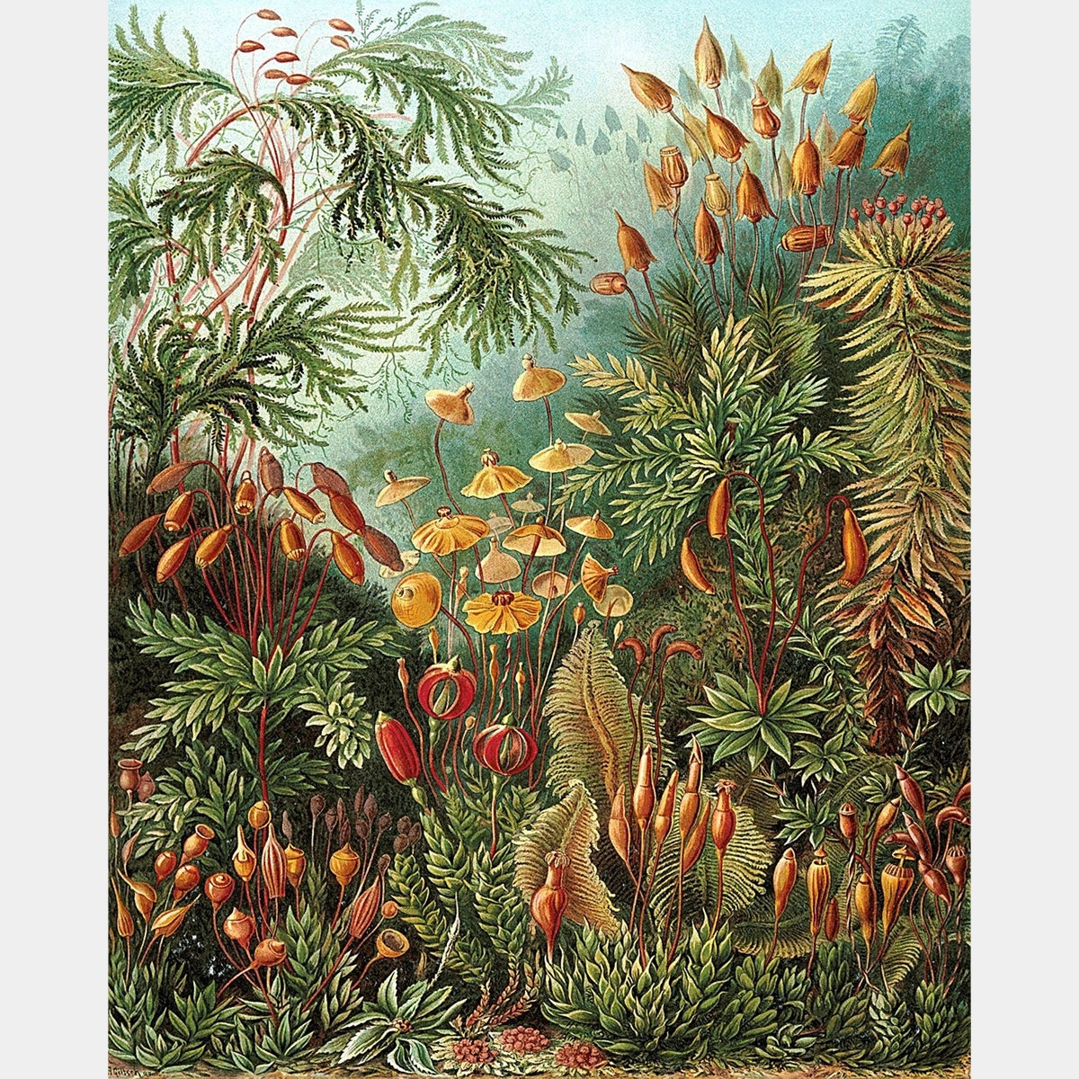 Muscinae - Diamond Painting - X-Large