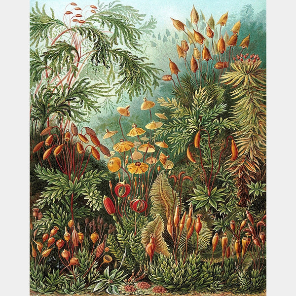 Muscinae - Diamond Painting - X-Large