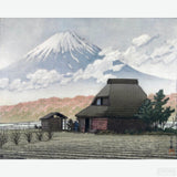 Mt. Fuji from Narusawa - Diamond Painting-Create a stunning Japanese diamond painting with our 