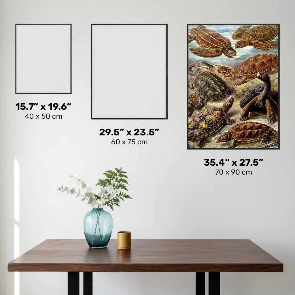 Chelonia - Diamond Painting - X-Large