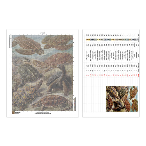 Chelonia - Diamond Painting - X-Large