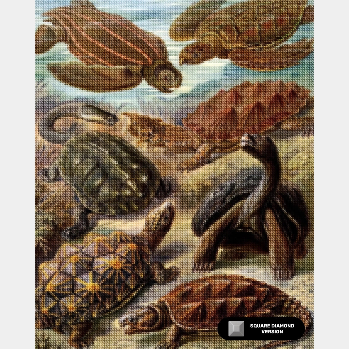 Chelonia - Diamond Painting - X-Large