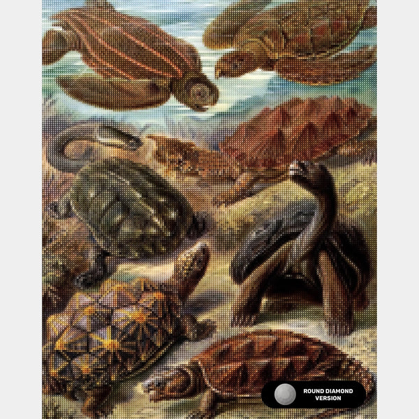 Chelonia - Diamond Painting - X-Large