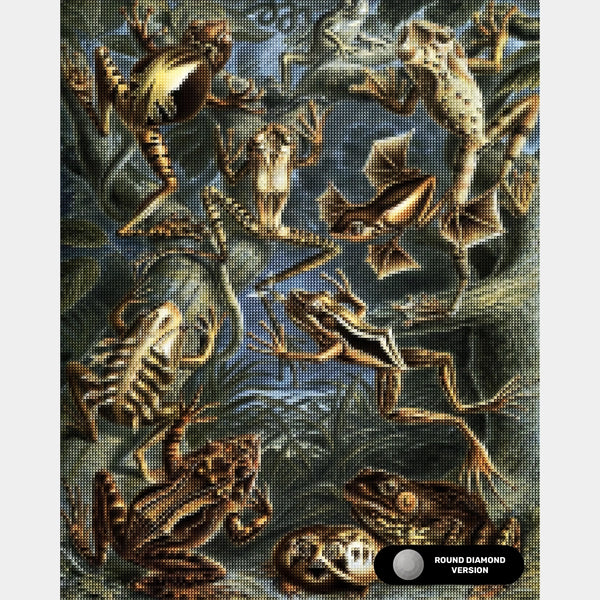 Batrachia - Peinture au diamant - Très grand