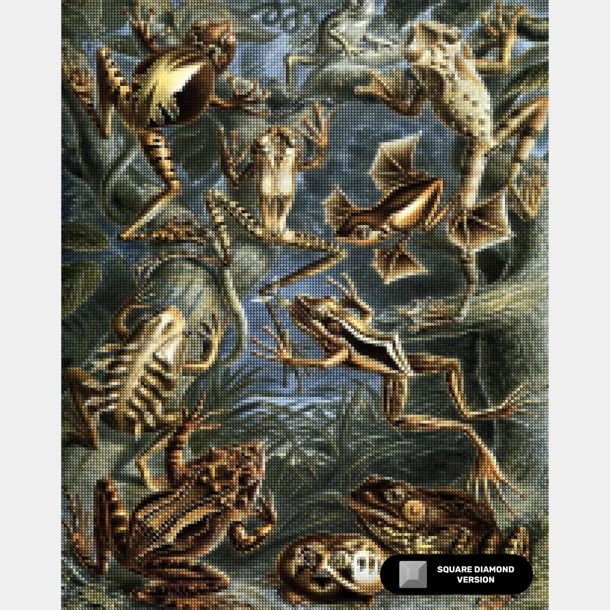 Batrachia - Peinture au diamant - Très grand