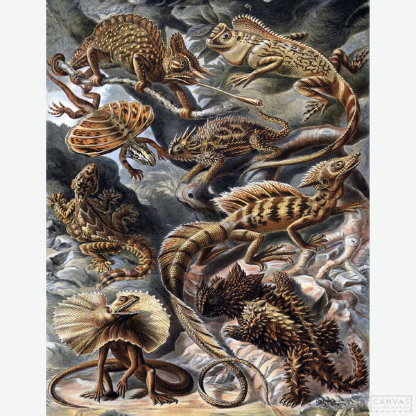 Lacertilia - Diamond Painting-Recreate Ernst Haeckel’s Lacertilia with this diamond painting kit. Celebrate the diversity and elegance of lizards with intricate detail and sparkle.-Canvas by Numbers