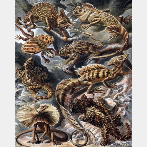Lacertilia - Diamond Painting - X-Large