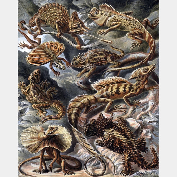 Lacertilia - Diamond Painting - X-Large