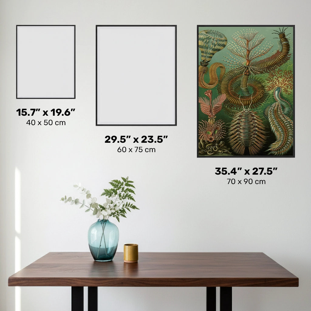 Chaetopoda - Diamond Painting - X-Large