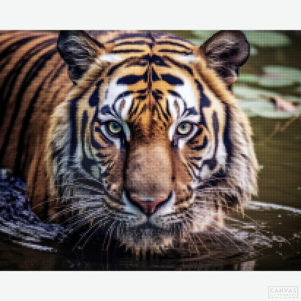 Gaze of the Wild - Tiger Diamond Painting-Recreate the powerful gaze of a tiger with the "Gaze of the Wild" Diamond Painting Kit. Capture nature’s strength and beauty in sparkling detail.-Canvas by Numbers