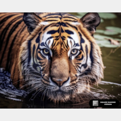 Gaze of the Wild - Tiger Diamantmålning - Stor