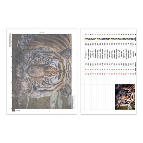 Gaze of the Wild - Tiger Diamantmålning - Stor