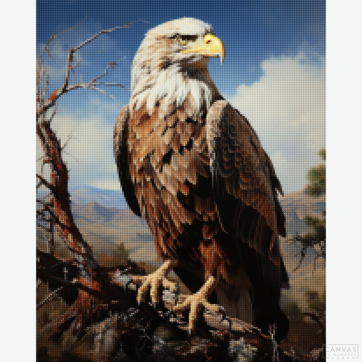 Eagle's Perch - Diamond Painting-Create a majestic bald eagle portrait with the "Eagle's Perch" Diamond Painting Kit. Capture the spirit of freedom and strength in sparkling detail.

-Canvas by Numbers