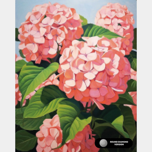 Hortensias - Diamond Painting - Grand format