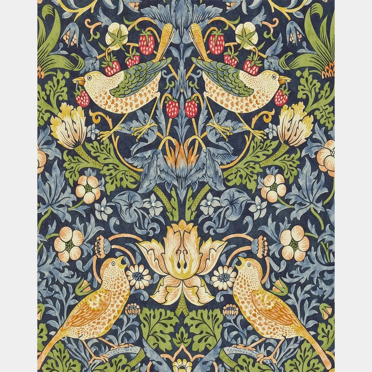 Il Ladro di Fragole - Diamond Painting - X-Large