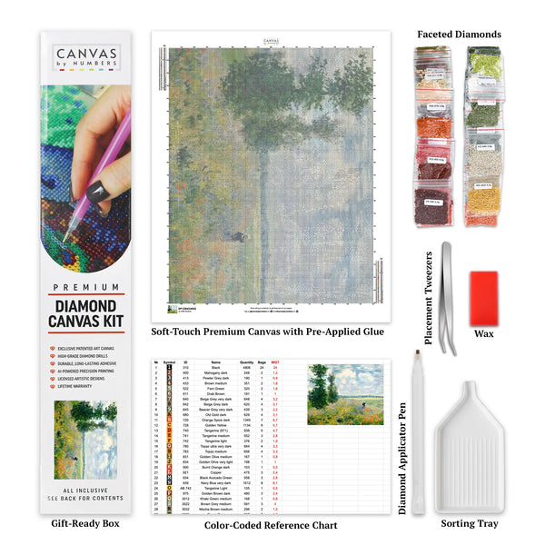 Campi di papaveri vicino ad Argenteuil - Kit di pittura con diamanti - Dimensione standard