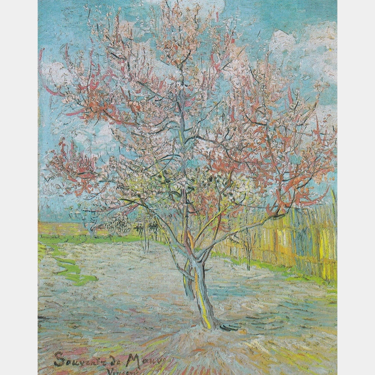 Peach Tree - Diamond Painting - Grande