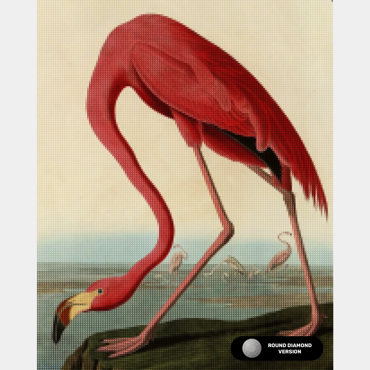 American Flamingo - Diamond Painting - Large