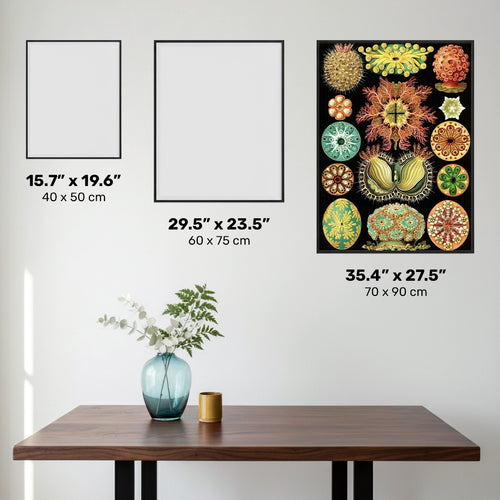 Ascidiae - Diamond Painting - X-Large