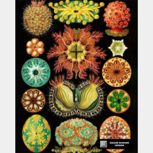 Ascidiae - Diamond Painting - X-Large