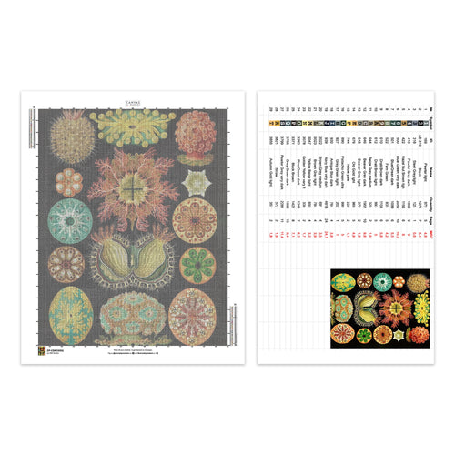 Ascidiae - Diamond Painting - X-Large