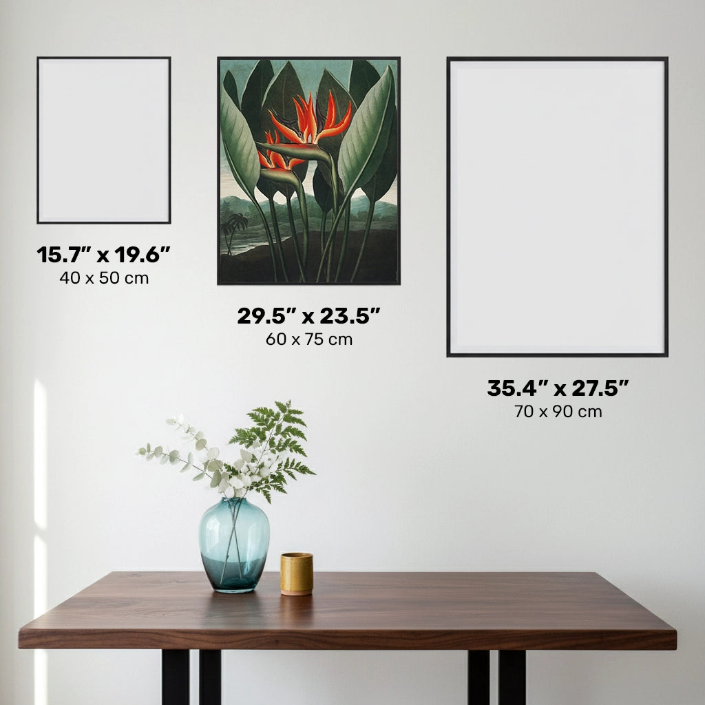 La Reina Planta - Diamond Painting - Grande