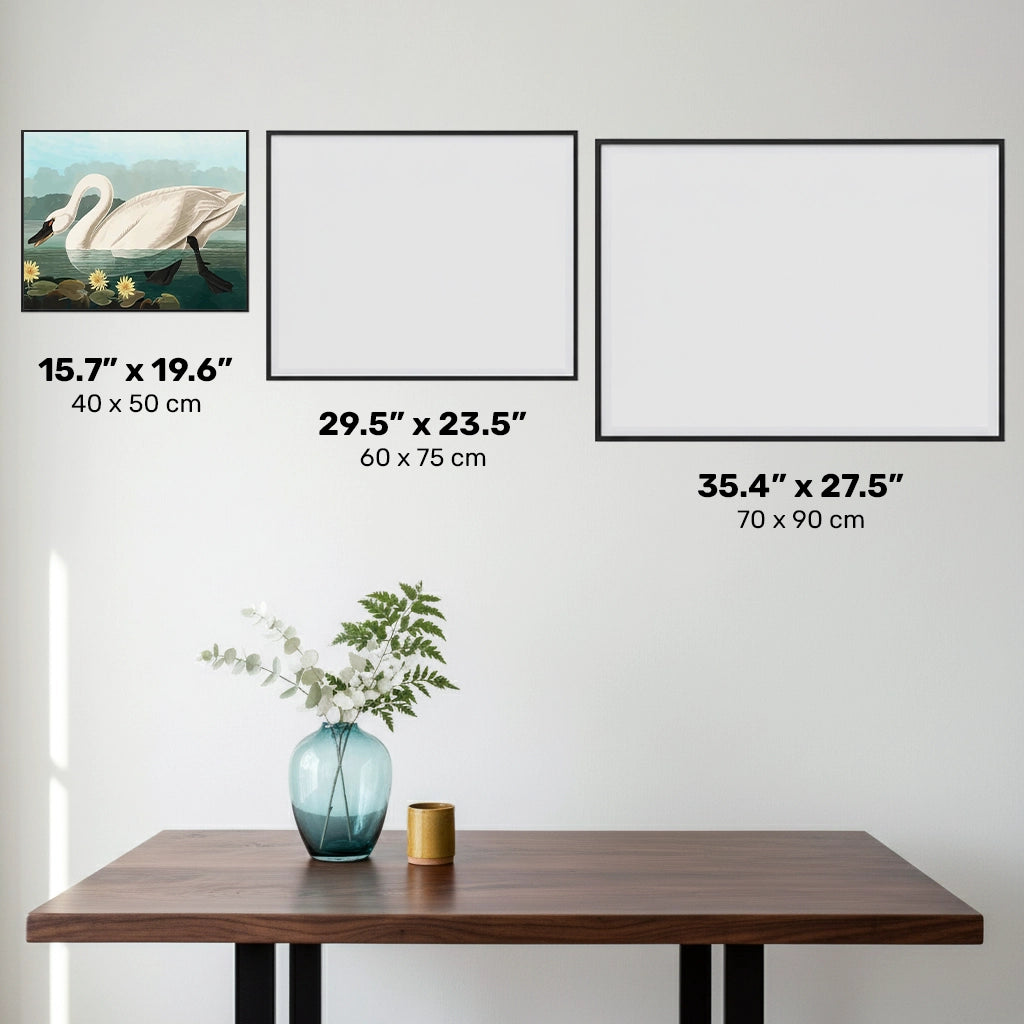 Cygne Américain Commun - Peinture au Diamant - Taille Standard