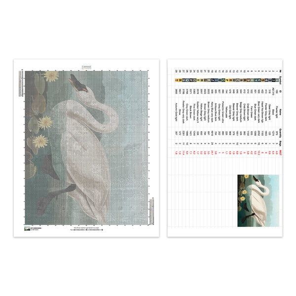 Cygne Américain Commun - Peinture au Diamant - Taille Standard