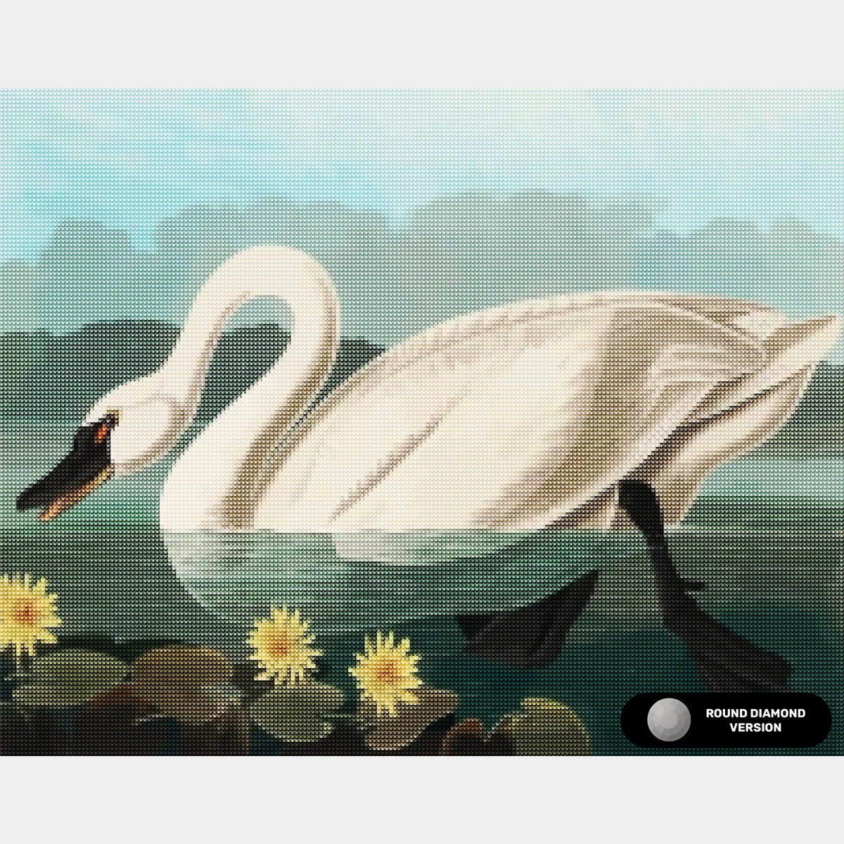 Cygne Américain Commun - Peinture au Diamant - Taille Standard